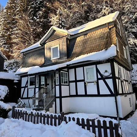 Waldtraum Fuer 10 Personen Mit Garten Und Grill Дом отдыха *