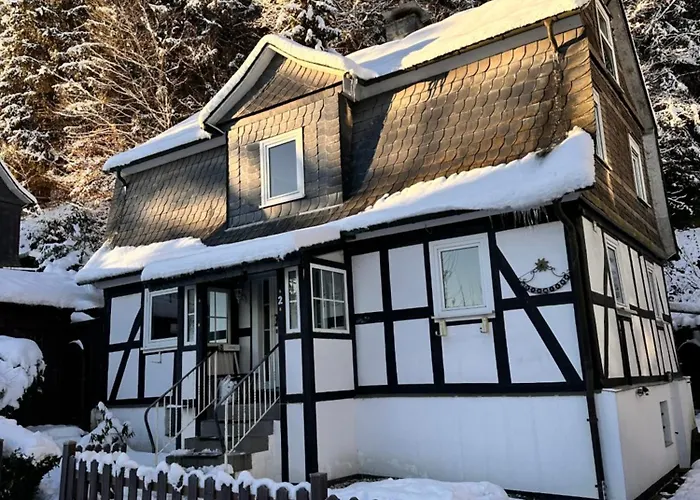 Waldtraum Fuer 10 Personen Mit Garten Und Grill Дом отдыха *